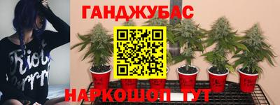 скорость mdpv Будённовск