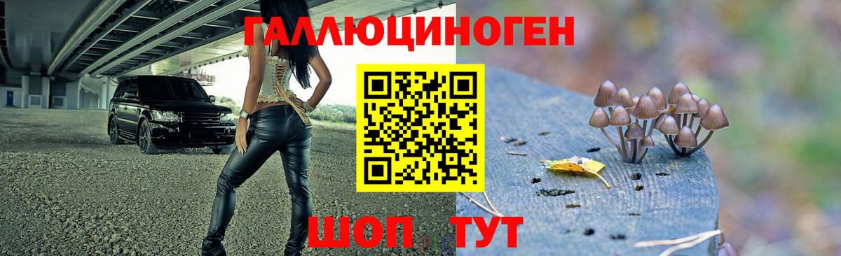 Галлюциногенные грибы мицелий Сатка